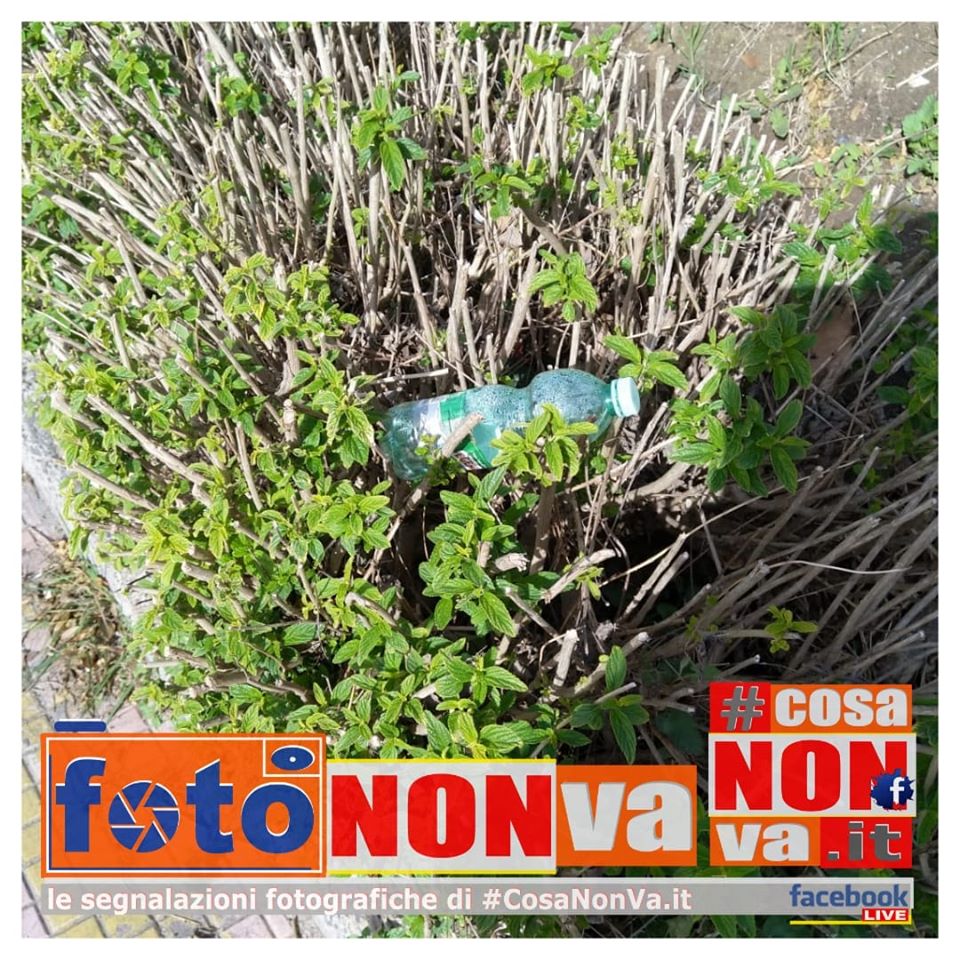 fiori di plastica #cosaNonVa.it Pasquale Valiante inquinamento